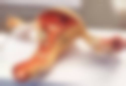 二、海南海口叶安娜整形医院正规吗？来看看医院资质：