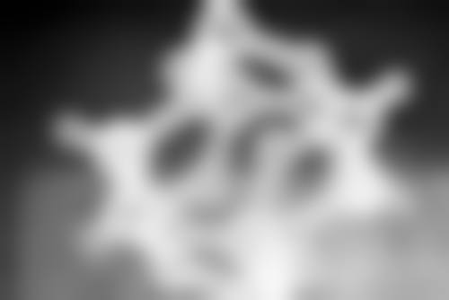 蒋克锋口碑和评价