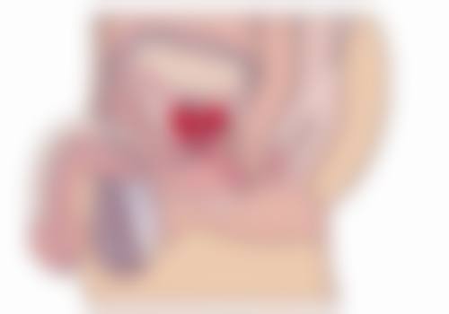 四、重庆雍国纽莱整形医院开展的主要项目和特色项目：