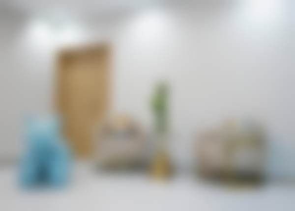 苏瑜晨个人资料及简历