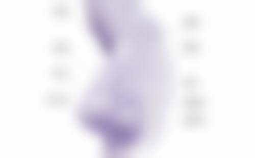 六、广州索兰整形医疗美容门诊部价格表：（仅供参考）