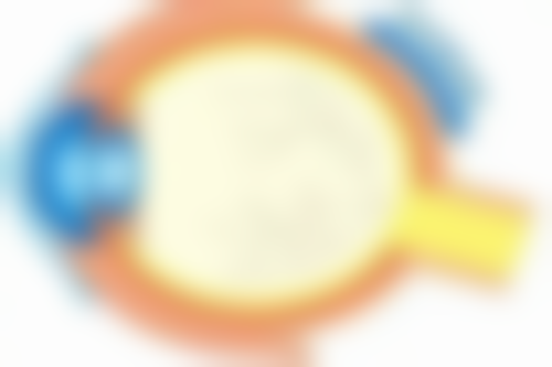 六、Herb整形外科怎么预约：