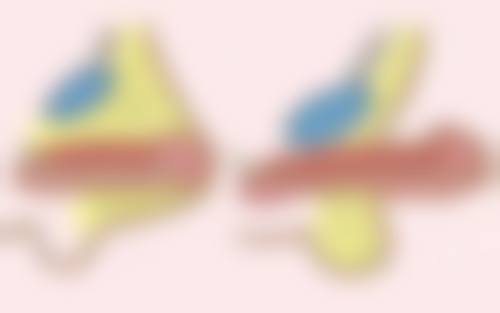 二、泰州泰勒美美容中 心正规吗？来看看医院资质：