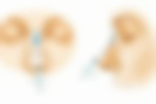 五、北京东南整形医疗美容医院怎么预约：