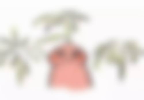 李戍波口碑和评价