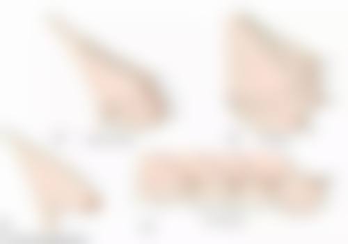 三、珠海艾尚美医疗美容门诊部医生介绍: