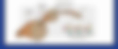 医院选择与凸出疤痕变平治疗