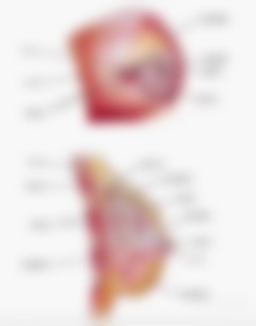 李戍波怎么预约？