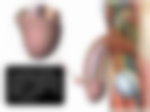 耳软骨隆鼻取出后能否恢复如初？深入剖析恢复因素与正规医院助力优势 