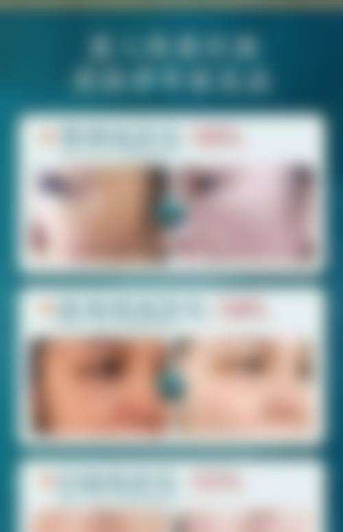 张东艳项目价格表参考