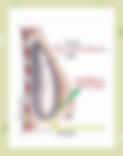 梁太鑫项目价格表参考