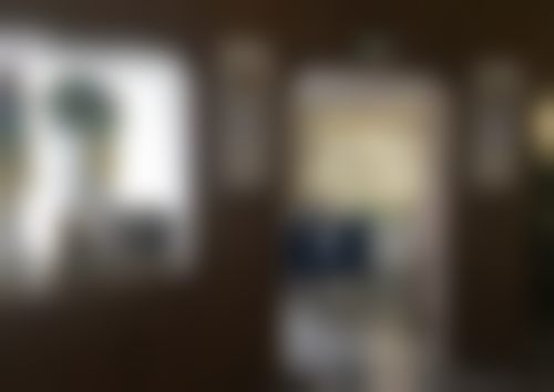 杨发菊个人资料及简历