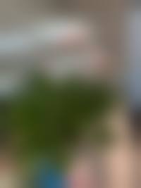 北京金燕子医疗美容诊所