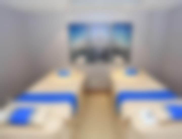 杨发菊项目价格表参考