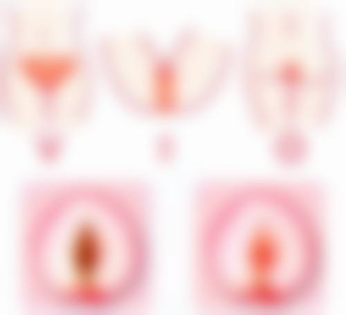 夏安香项目价格表参考