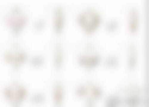 夏安香个人资料及简历