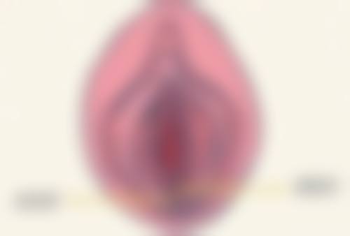 六、合浦县人民医院整形美容科价格表：（仅供参考）