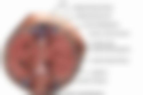 李世飞在哪家医院