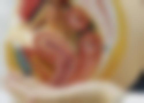 夏安香项目价格表参考