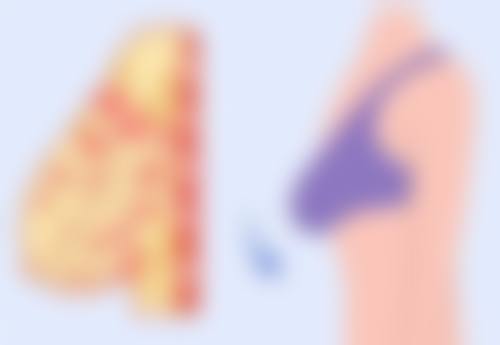 七、青岛海英菡汝整形医院价格表：（仅供参考）