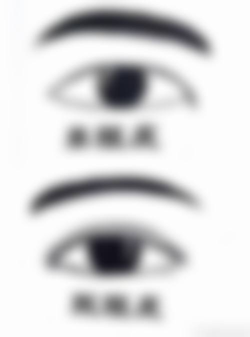 盛飞项目价格表参考