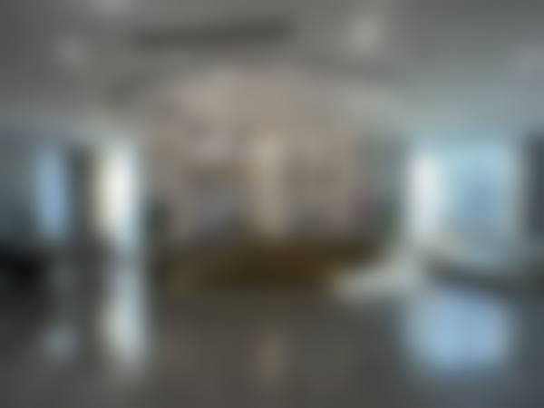 三、温州鹿城艺启美医疗美容门诊部医生介绍: