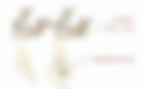 老化、外力是“破坏分子”，得小心应对