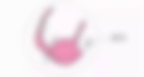 五、合肥包河区疾病防控中 心怎么预约：