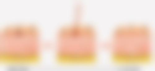 六、合肥包河区疾病防控中 心价格表：（仅供参考）