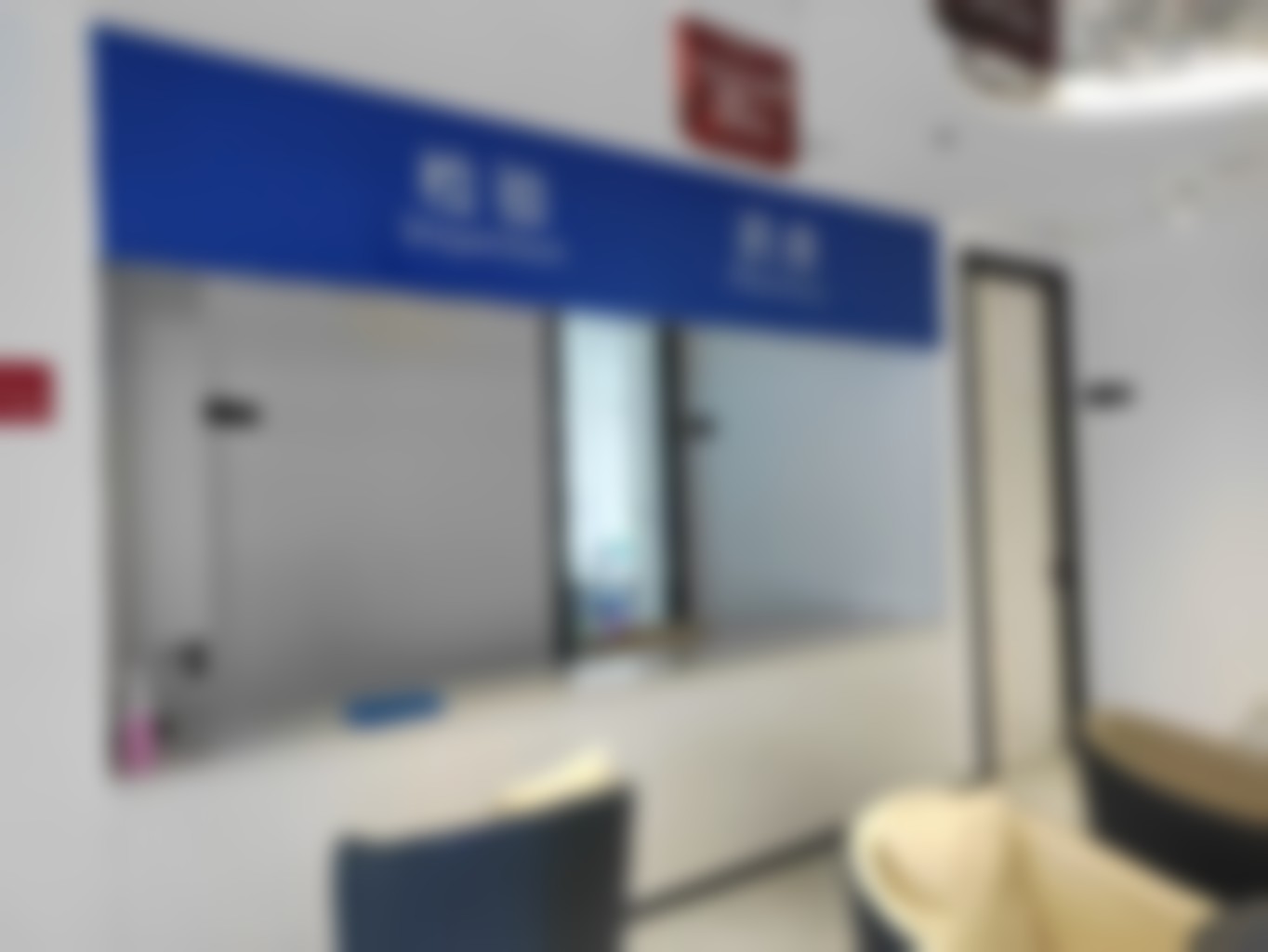 杨智个人资料及简历