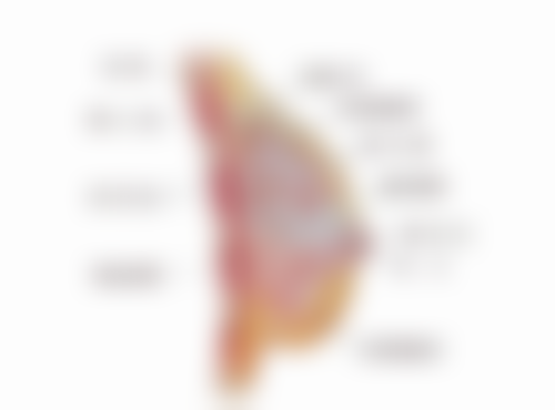 七、桂林郭云涛（梦之美）医疗美容诊所价格表：（仅供参考）