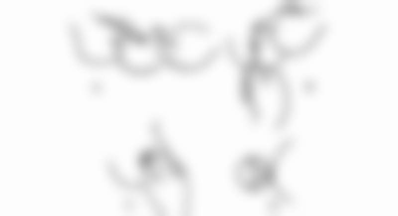 余文林贴发耳矫正水平怎么样可靠吗？