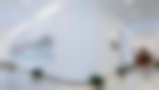 常双明艺术体雕实例