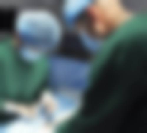 马严项目价格表参考