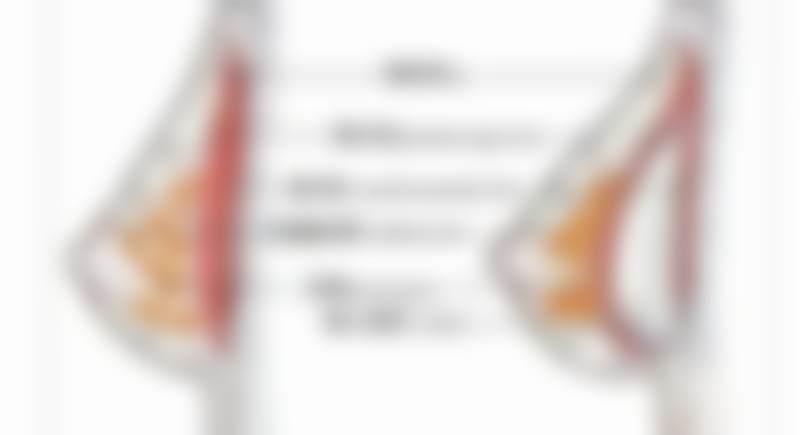 二、广州高尚医学美容中 心开展的项目