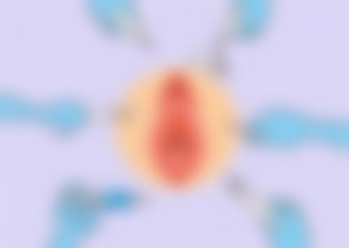 六、Ace Clinic 名古屋价格表：（仅供参考）