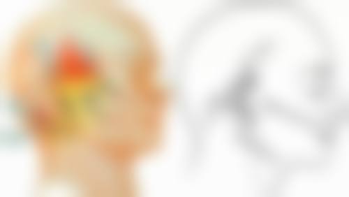 三、中山大学附属第五医院烧伤整形科基本信息：