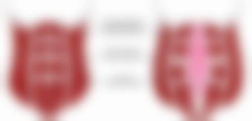 六、连云港徐杨整形医院怎么预约：