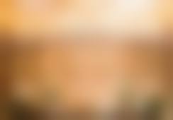 李素心口碑和评价