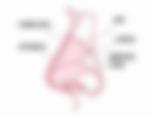 二、医院详细信息