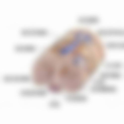 七、长沙如美整形医院真实的顾客评价如下：