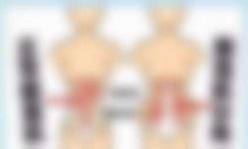 四、湖州南一医疗美容诊所开展的主要项目和特色项目：