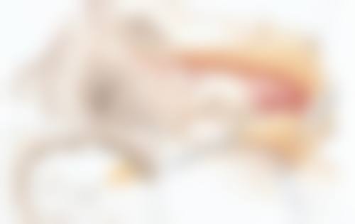 二、重庆重生毛发移植研究院正规吗？来看看医院资质：