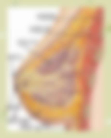 七、韩国济州岛slow整形外科价格表：（仅供参考）