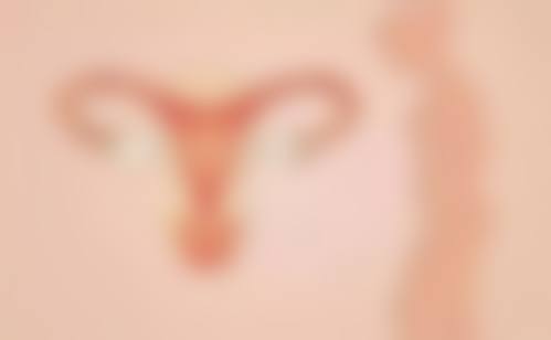 陈能花医生怎么预约？