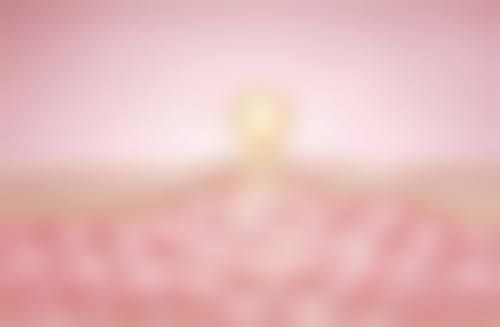 侯彦博医生怎么预约？