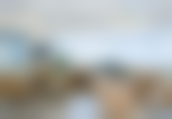 刘巍医生怎么样可靠吗？