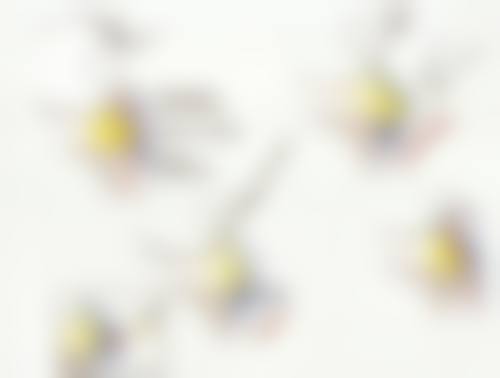 七、太原小企鹅医疗美容诊所真实的顾客评价如下：