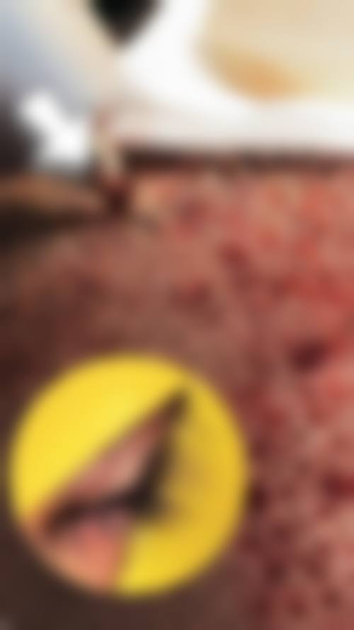 四、北京壹希光合医疗美容诊所基本信息: