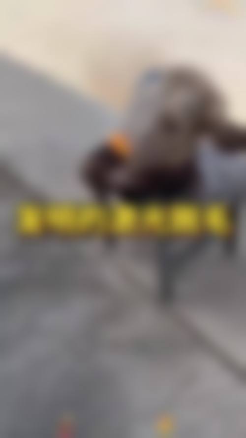 六、济南利维亚医疗美容诊所怎么预约：